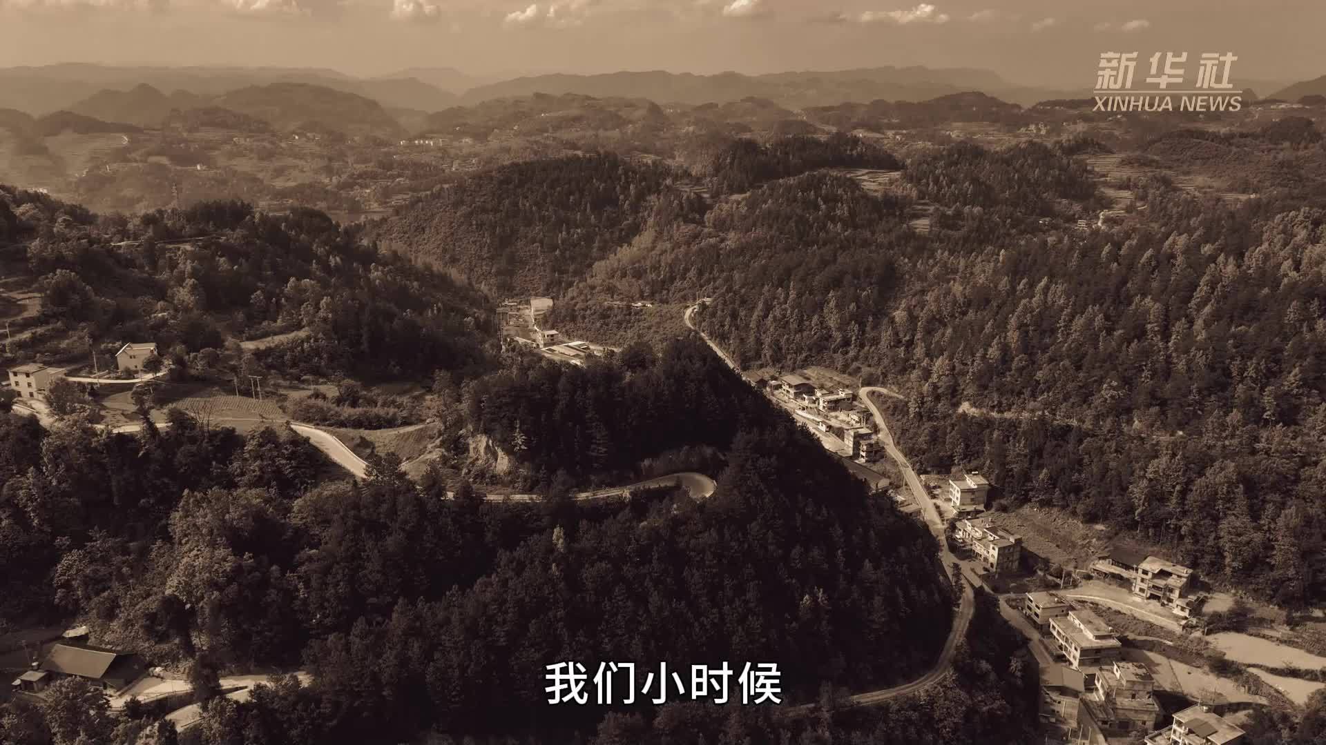 2025世界品牌莫干山大会｜从0到7亿 小红薯变成大产业