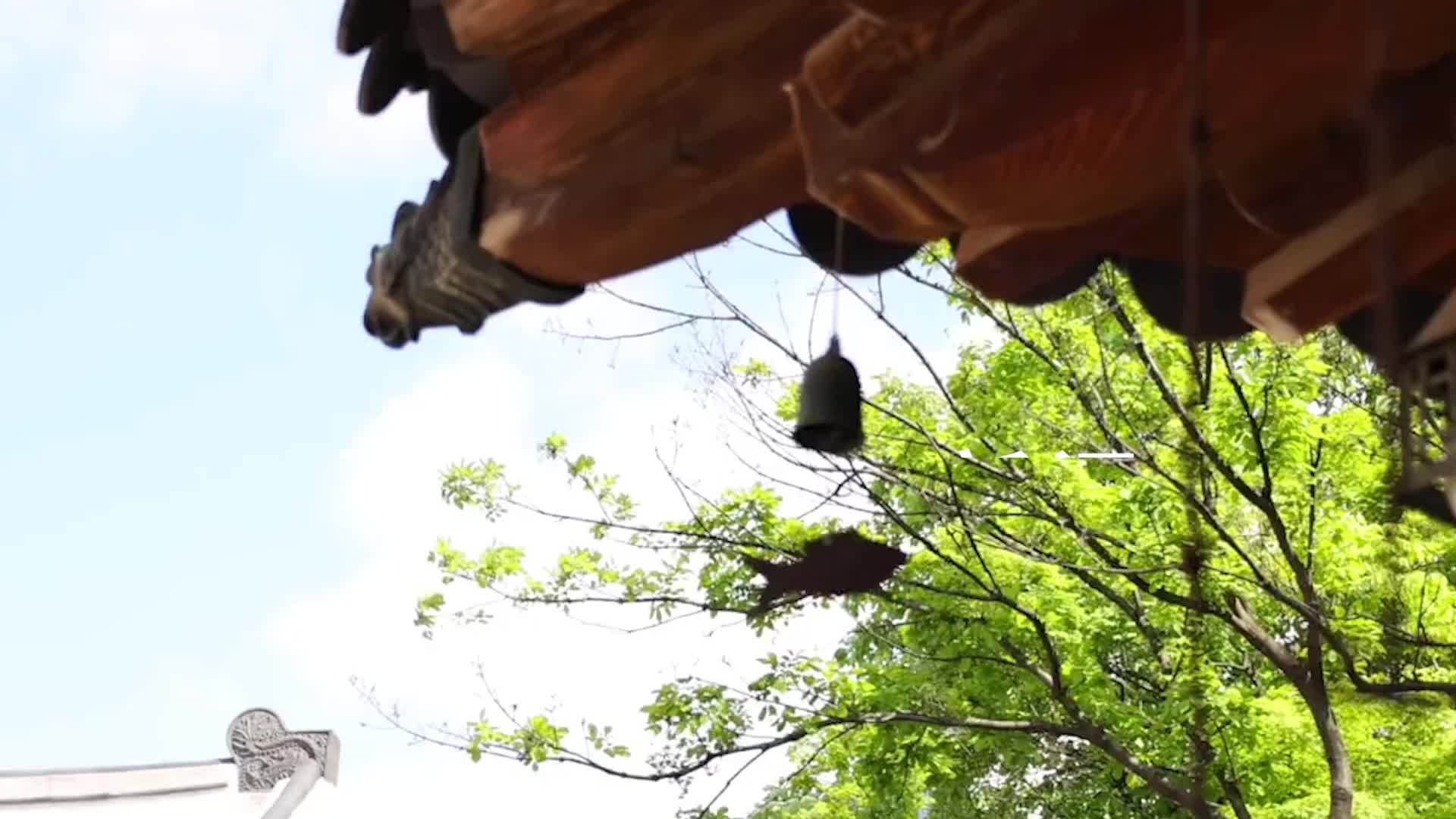 拒绝社交媒体，韩国年轻人开启“多巴胺排毒”