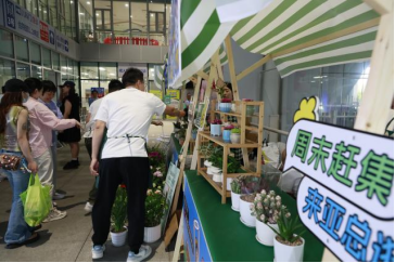 在医院逛“市集” 让“烟火气”融入“健康疗愈”