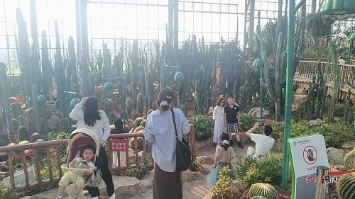 5月5日下午,南昌珍奇植物园梦幻沙洲馆内游客如织