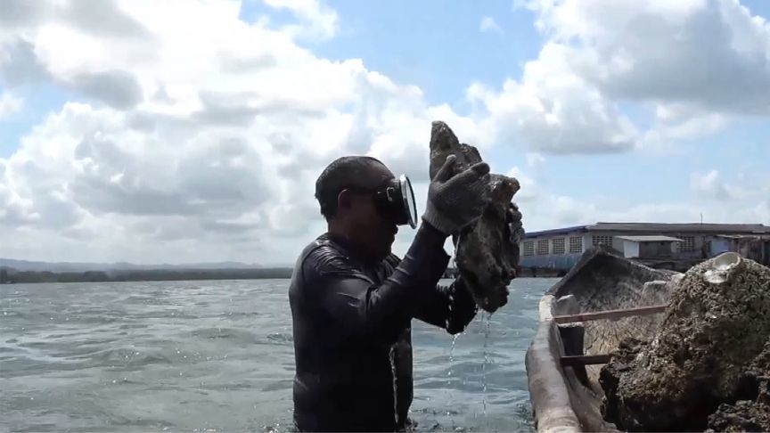 在“世界十字路口”巴拿马，这些岛民却将沦为全球首批气候难民