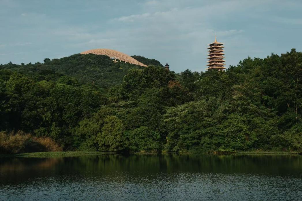 南京牛首山下风景与艺术同框  纳福德精品书画展吸引八方游客