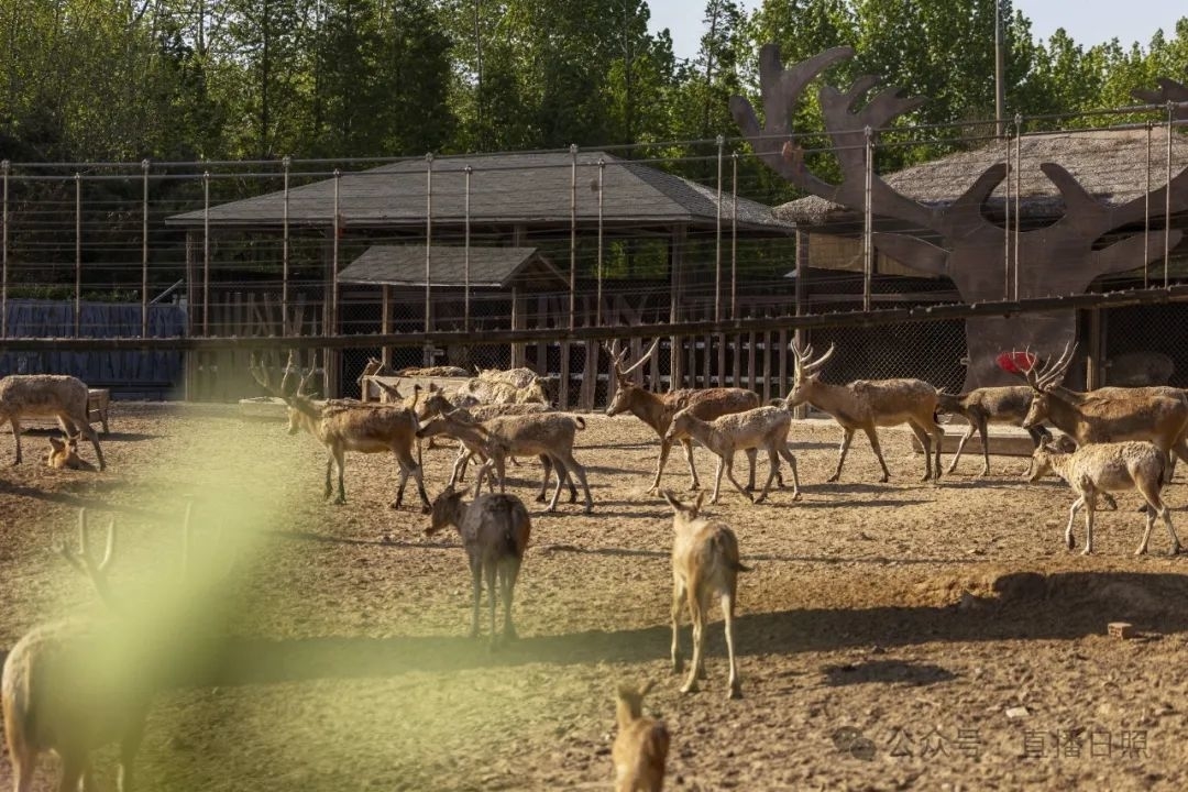 深度游客量TOP20!山海天,位列榜首!