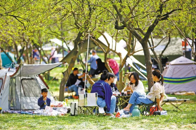5月3日，群众在西安杜邑遗址公园露营，享受闲暇时光。