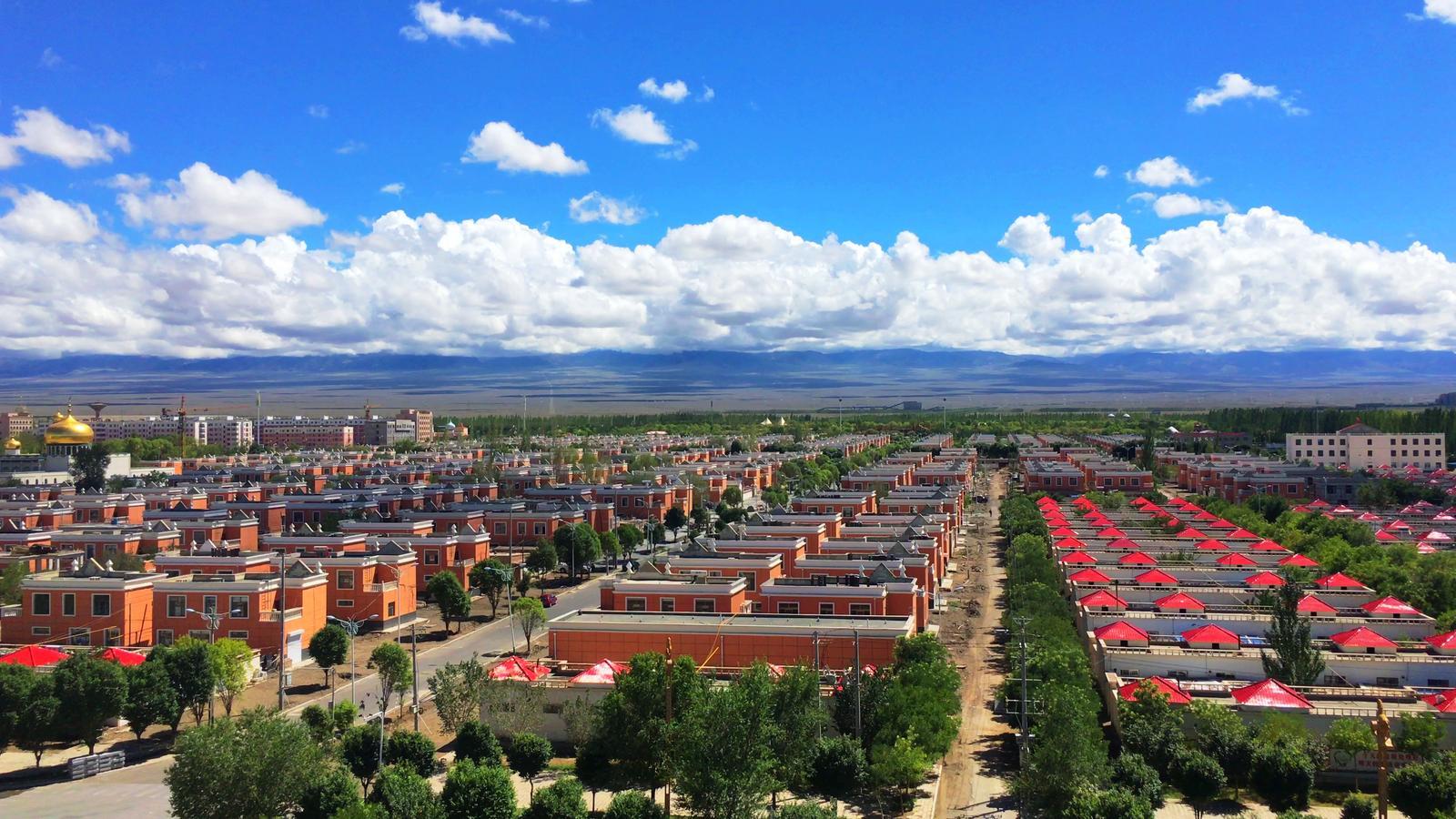 阿克塞放大招打造人才高地　让“千里马”竞相奔腾