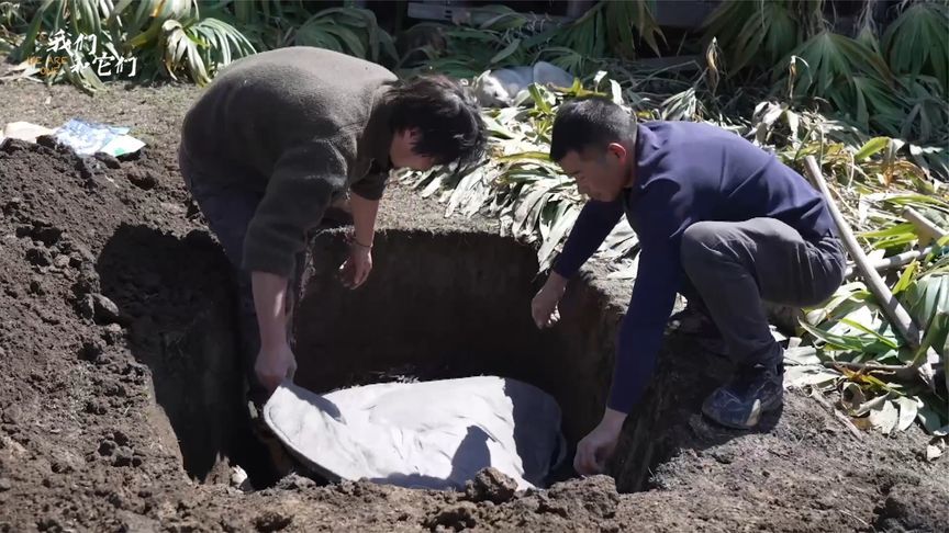 网红狗狗希拉长眠若丁山，好友猫咪贡嘎常守在其“墓”前发呆