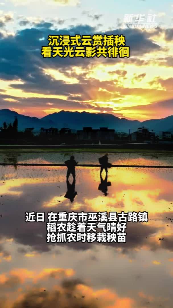 秀我中国｜沉浸式云赏插秧 看天光云影共徘徊