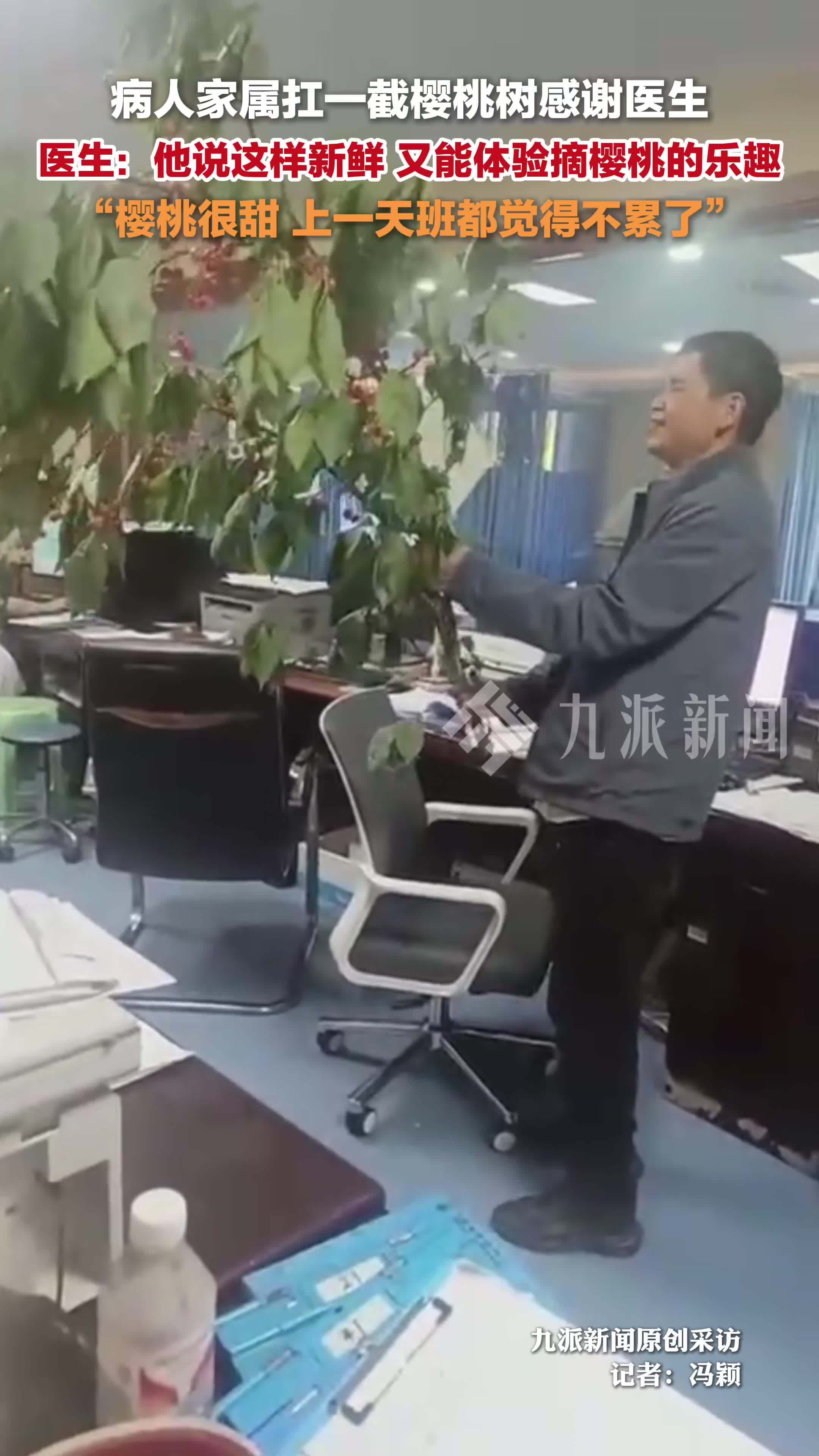 医生回应病人家属扛一截樱桃树感谢：他说这样新鲜，又能体验摘樱桃的乐趣
