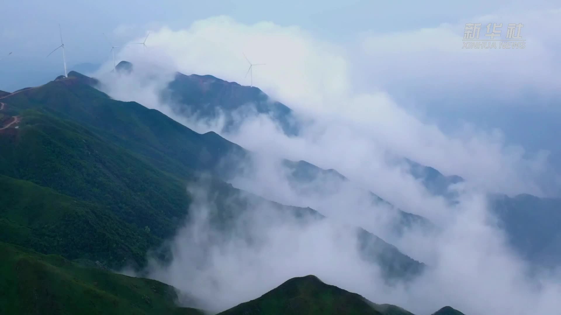 江西吉安：赏杜鹃观云海 旅游经济助力畲乡发展