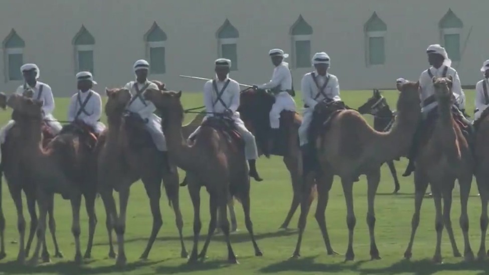 令特朗普印象深刻的骆驼队伍