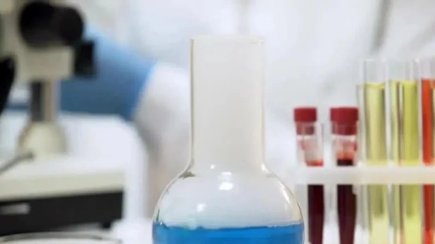 警惕日常化学品：邻苯二甲酸盐可能扰乱你的体重调节机制