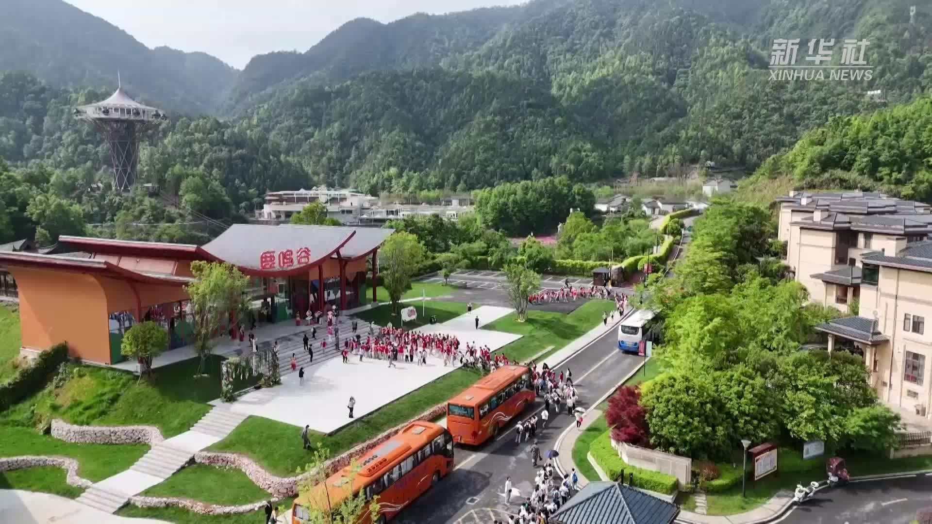 江西修水：研学游激发文旅消费新活力