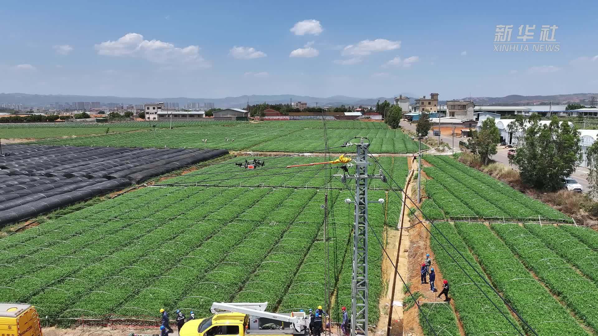 带电接火机器人首次在云南弥勒“上岗”