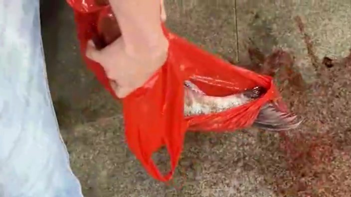 买鱼遇“鬼秤”，复秤时遭摊主抢鱼？市监局回应