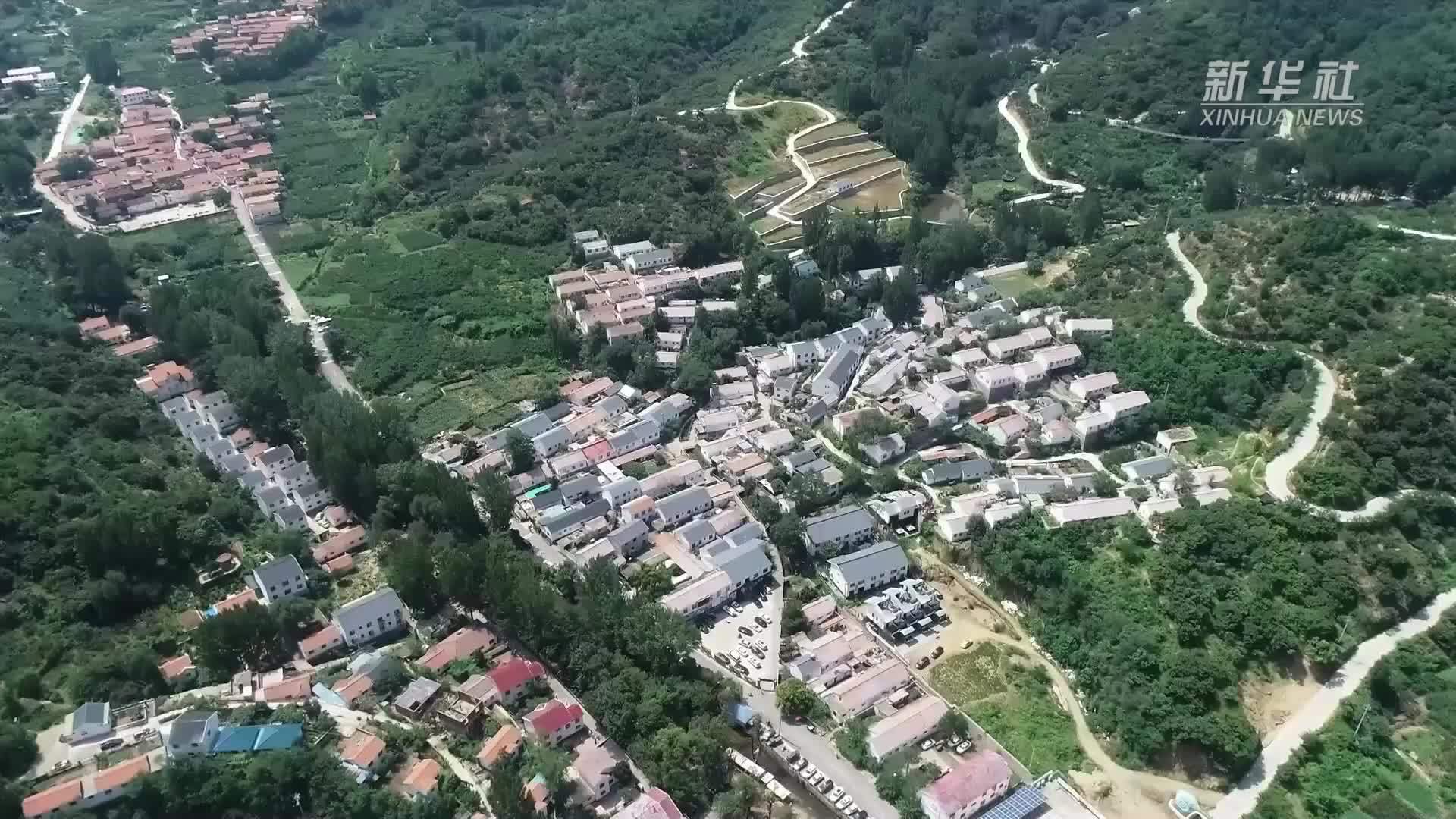 山东淄博：激活林业资源 赋能乡村振兴