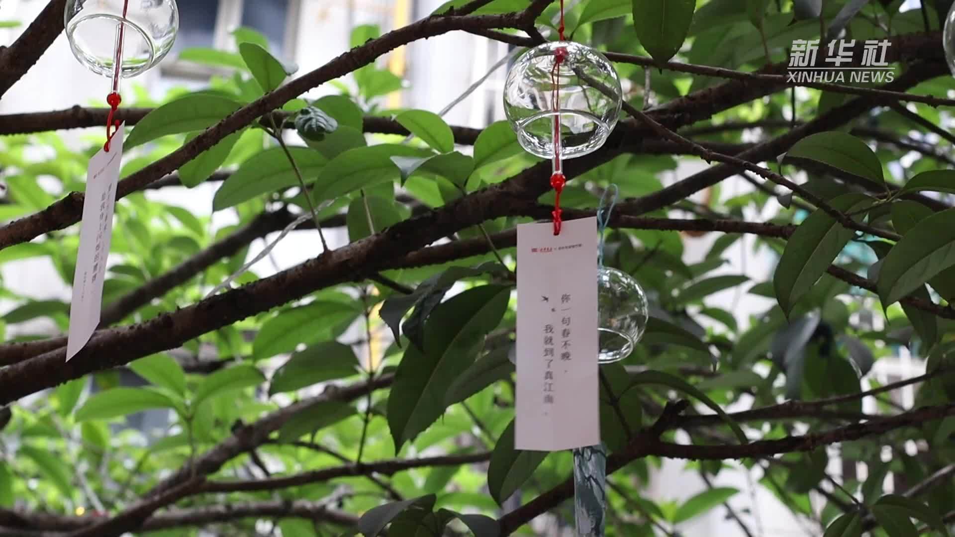 长沙：“种书大会”为街巷带来书香