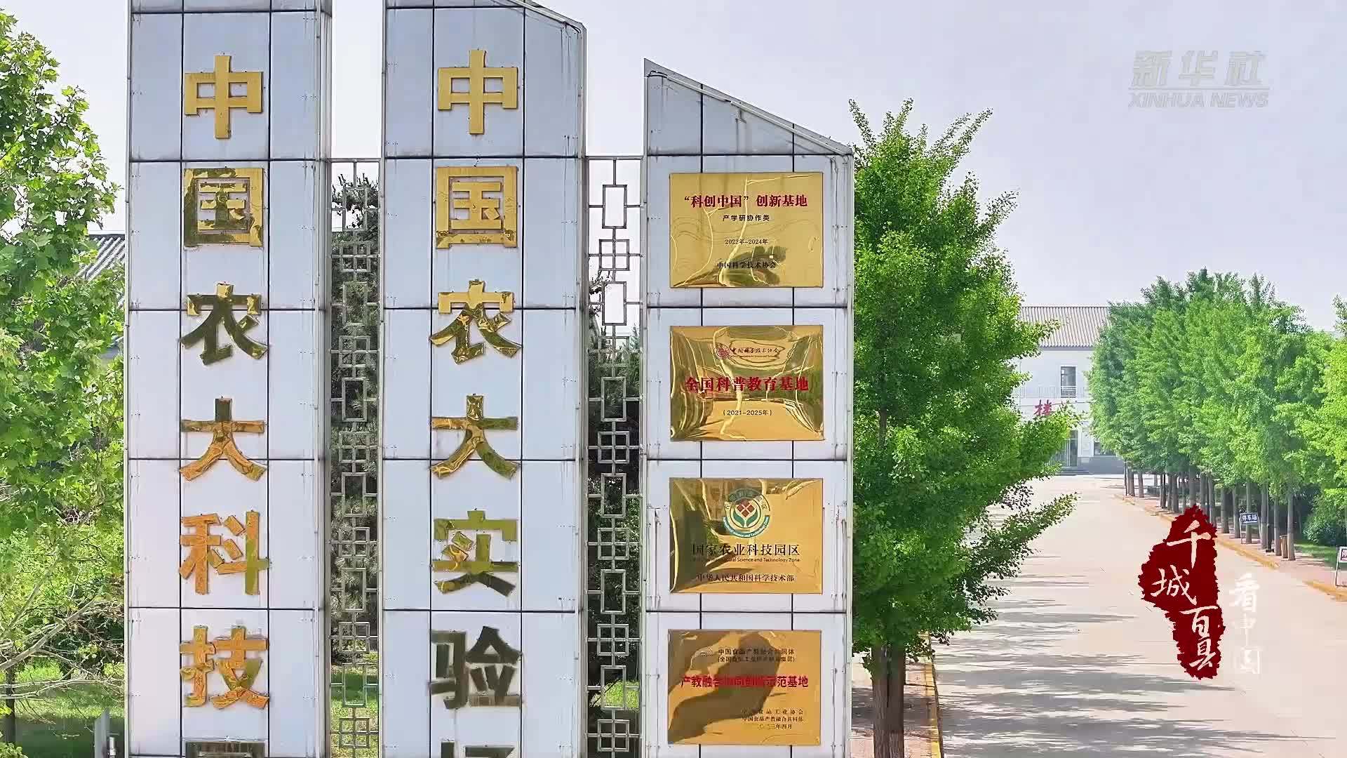 千城百县看中国|河北涿州：校地合作加速农业科技创新