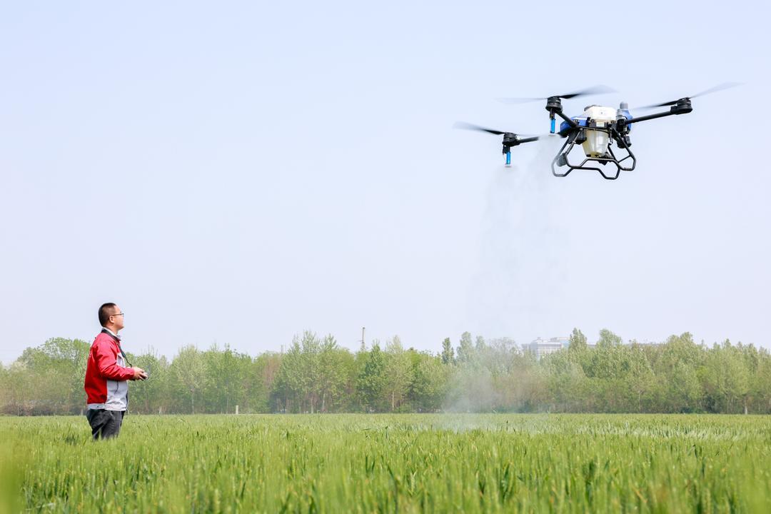 “无人机驾驶员”操纵无人机管理麦田。