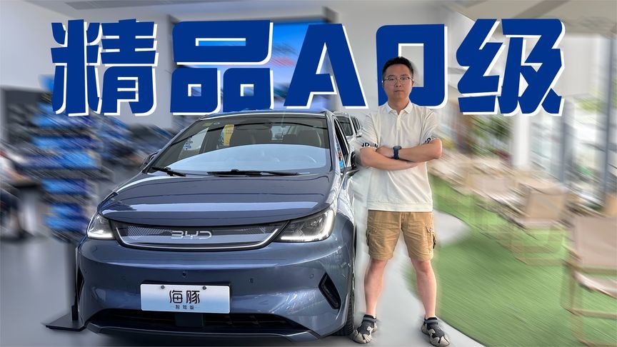 同样身为精品A0级车型，比亚迪海豚和吉利星愿该怎么选