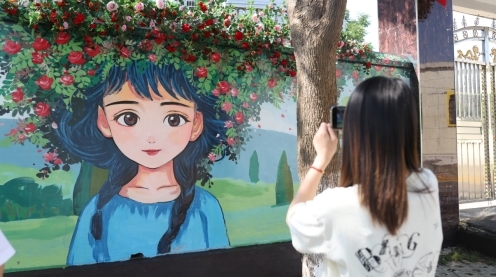 市民打卡“月季女孩”墙绘