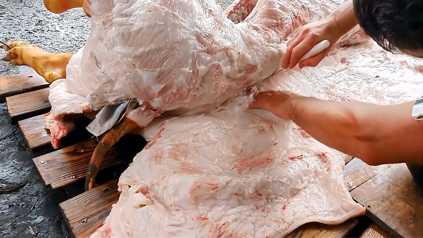 俄罗斯人杀猪，方式独特，与我们的大不相同，做出的美味也略有不同