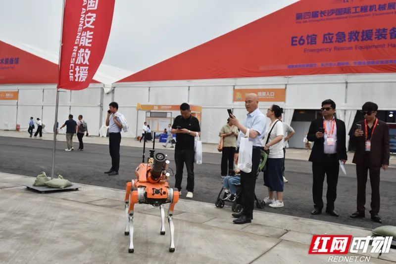 辅助侦查机器狗。