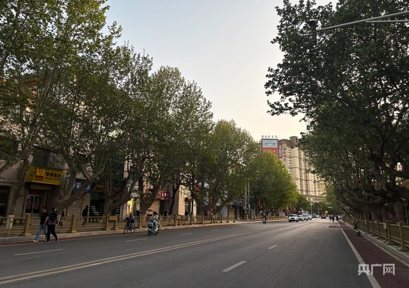 宽阔平整的灵台县东大街（央广网发　灵台县融媒体中心　供图）