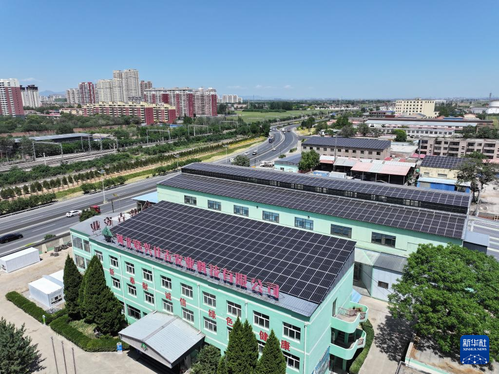 河北省石家庄市元氏县一家现代农业企业屋顶上的光伏电站（5月14日摄，无人机照片）。