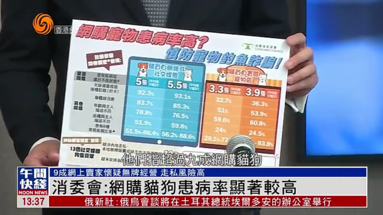 粤语报道｜香港消委会：网购猫狗患病率显著较高
