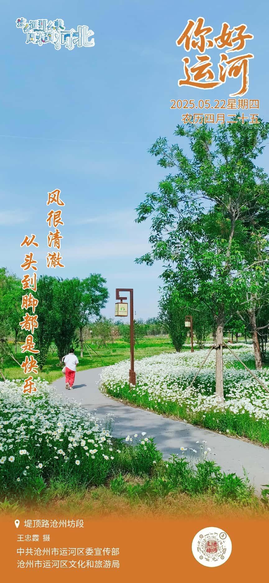 “你好，运河”（22）：风很清澈