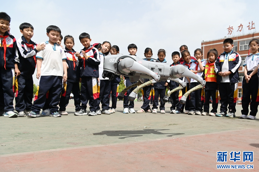 5月9日，在河南省沁阳市永威学校第五届校园科技节上，机器狗在表演。