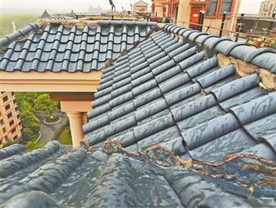 琉璃瓦掉落区域（见圈内）