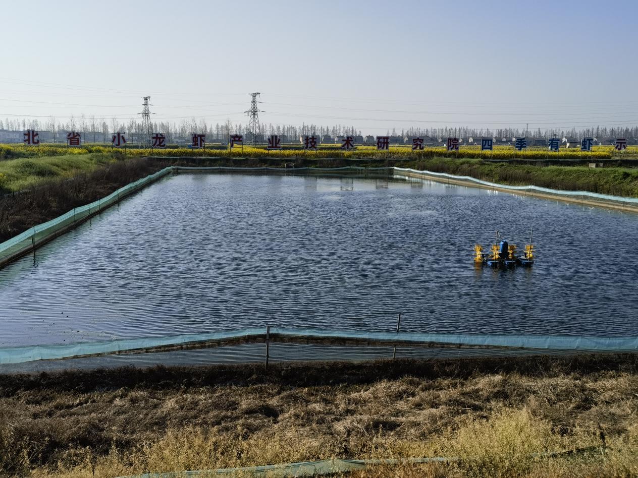 湖北省小龙虾产业技术研究院四季有虾示范基地