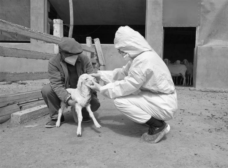 兽医站工作人员上门做防疫