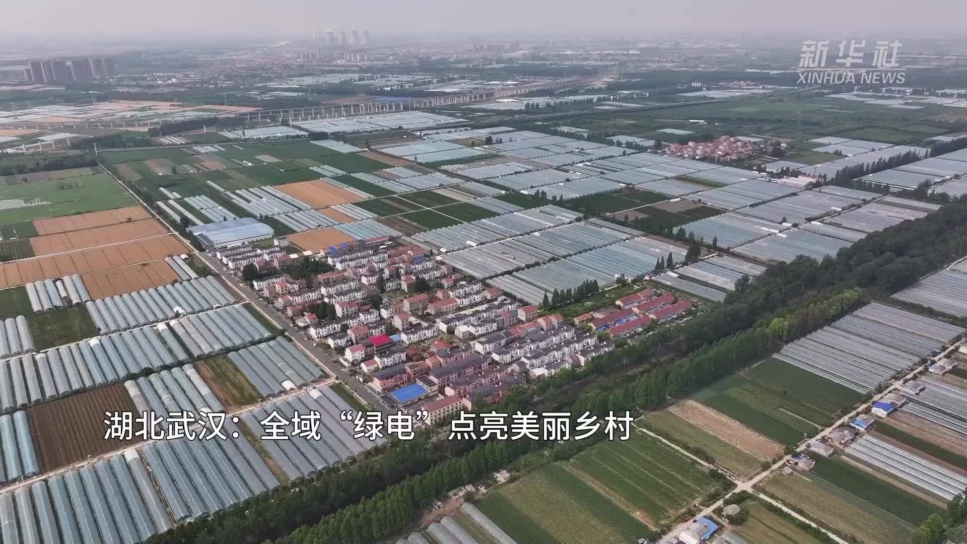 湖北武汉：全域“绿电”点亮美丽乡村