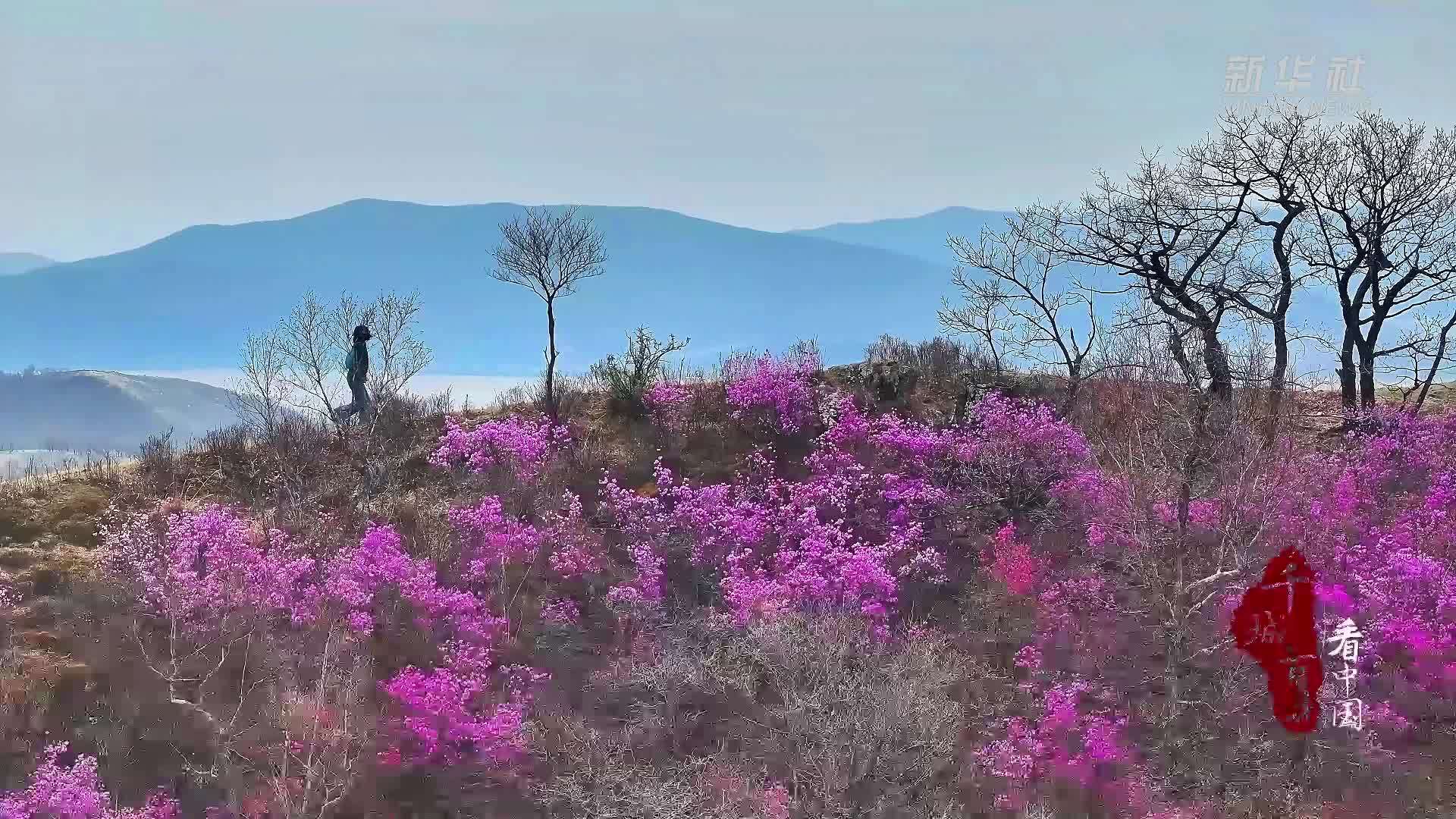 千城百县看中国|内蒙古：奇妙山景一面似雪一面如焰