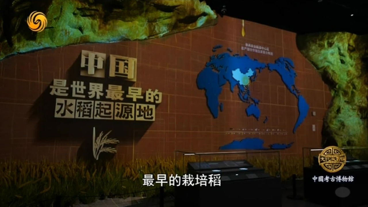 实证中华文明五千年！考古学家在良渚发现了震惊世界的古城与水坝系统