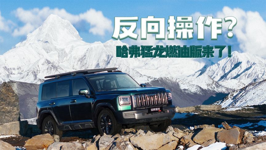 反向操作！哈弗猛龙燃油版来了