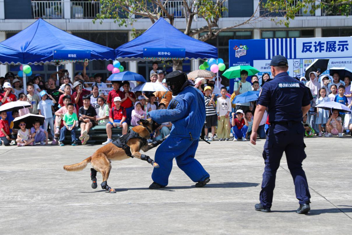 警民相约零距离，携手共绘“坪”安景