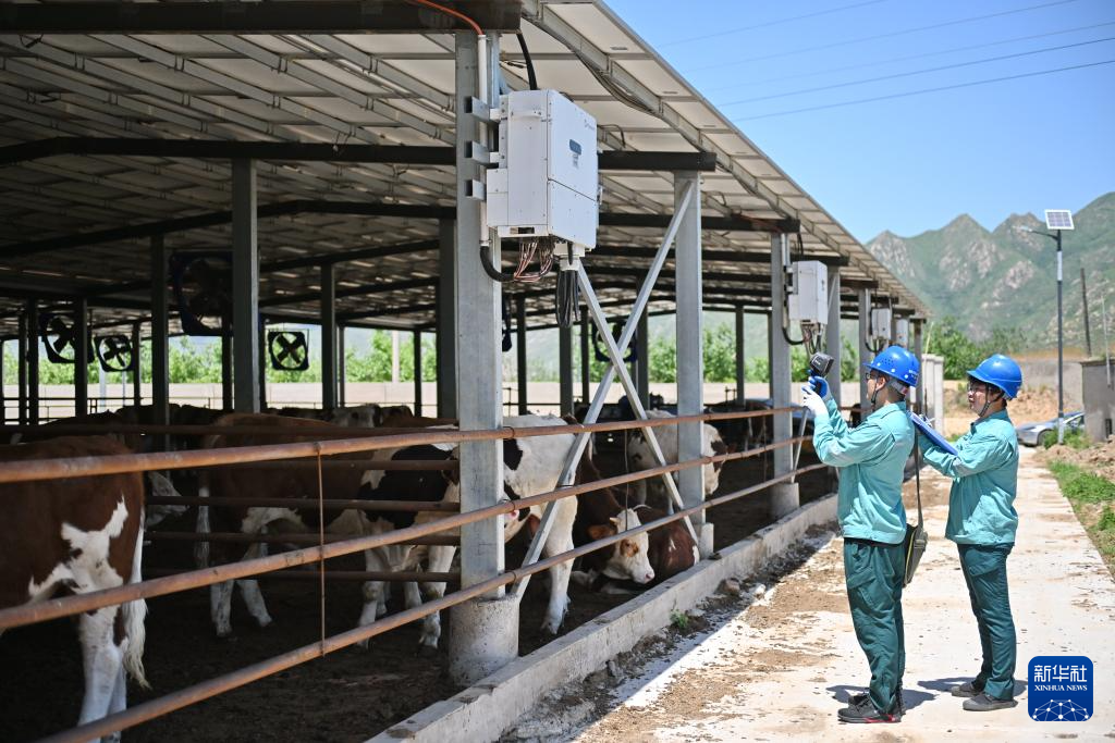 5月14日，国网元氏县供电公司工作人员在元氏县一家肉牛养殖企业内检测光伏发电设备。
