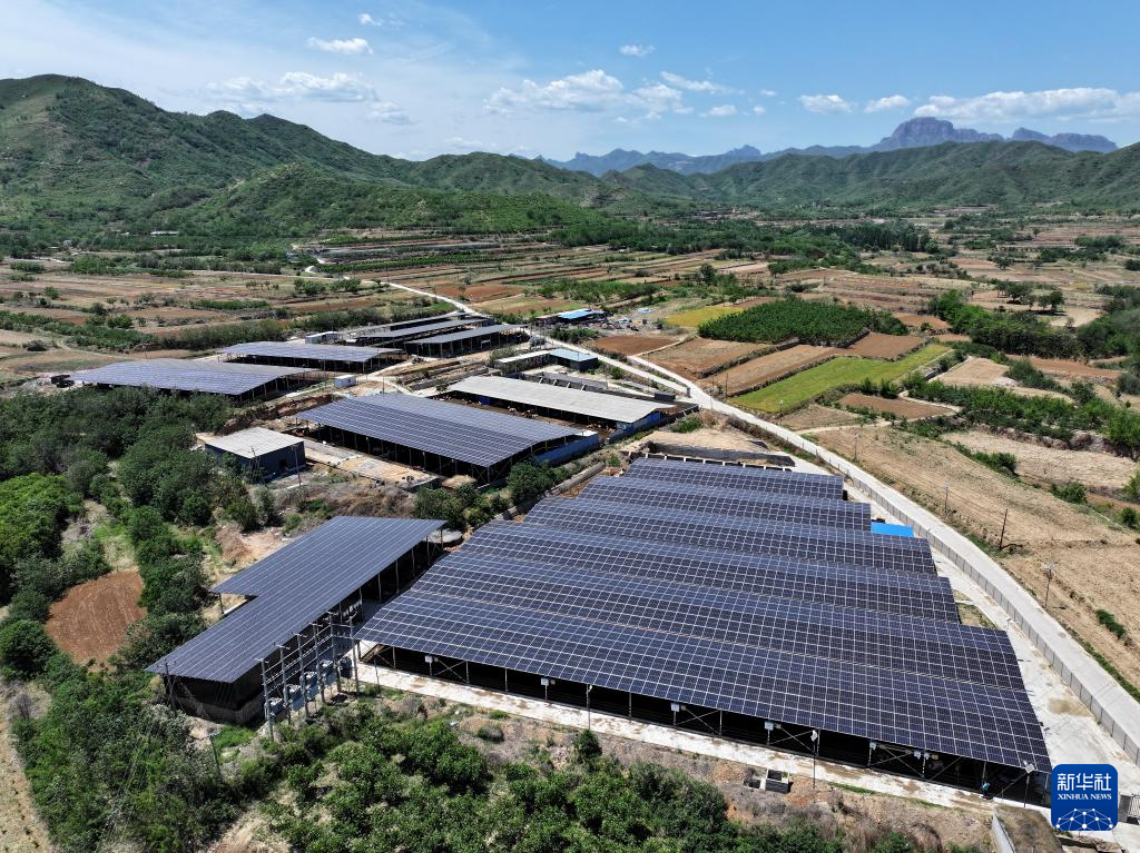 河北省石家庄市元氏县一家肉牛养殖企业屋顶上的光伏电站（5月14日摄，无人机照片）。