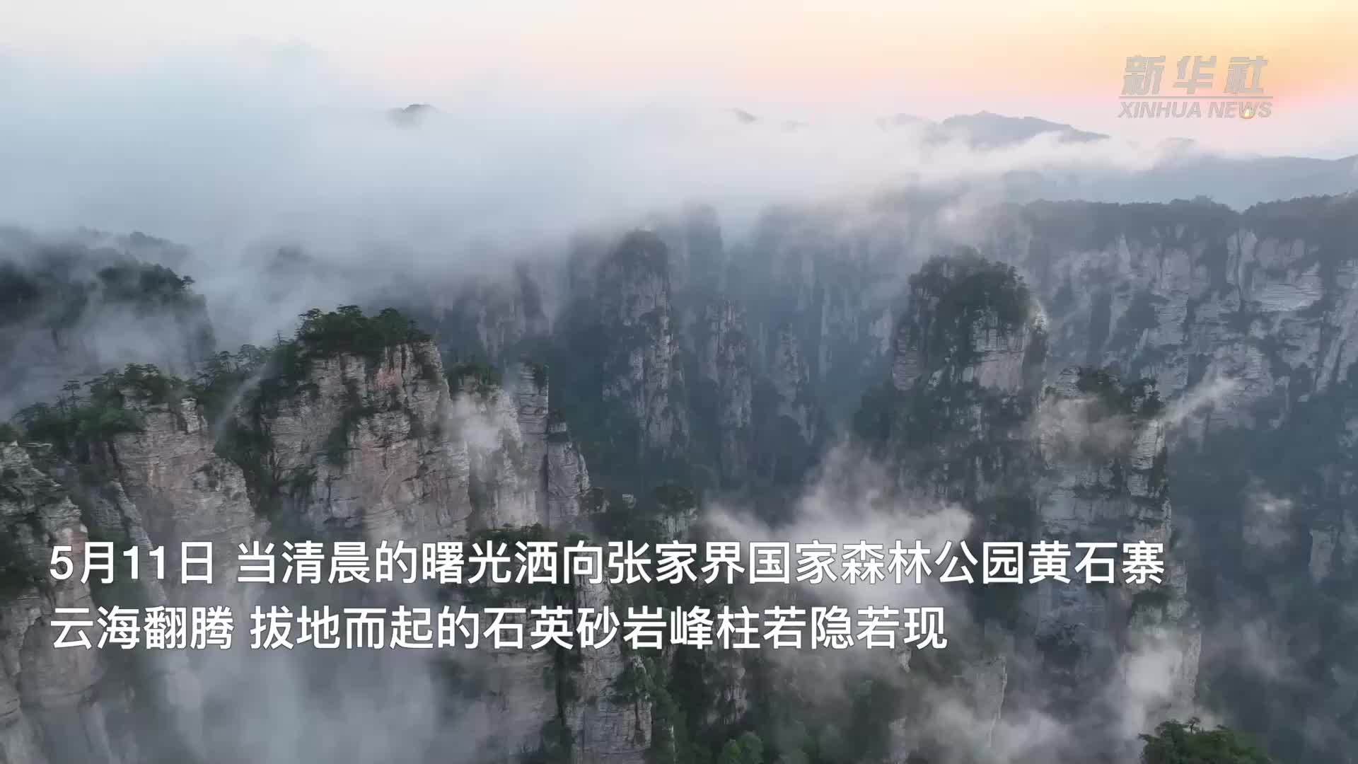 张家界国家森林公园：云海翻涌 宛若仙境