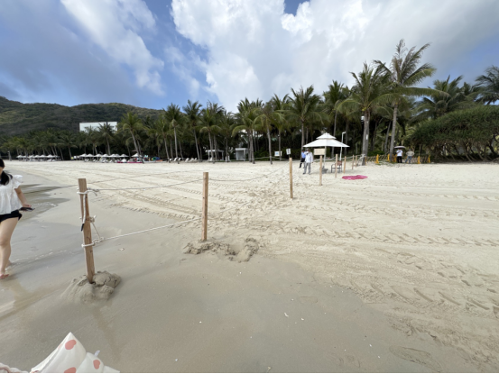 “三位一体”促整改 公共海滩还于民