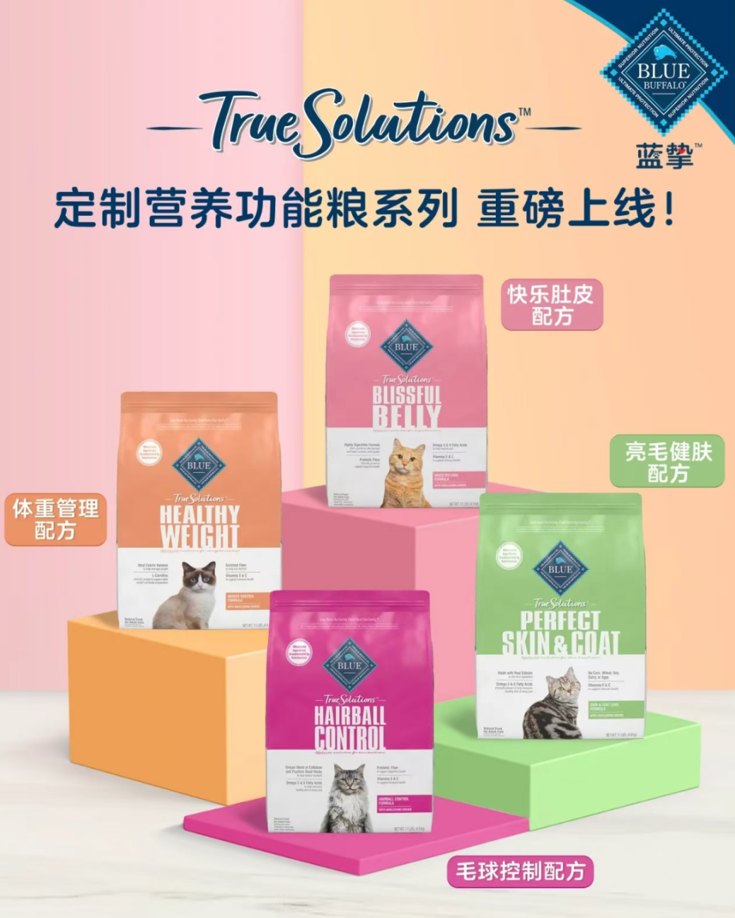 图片237.png