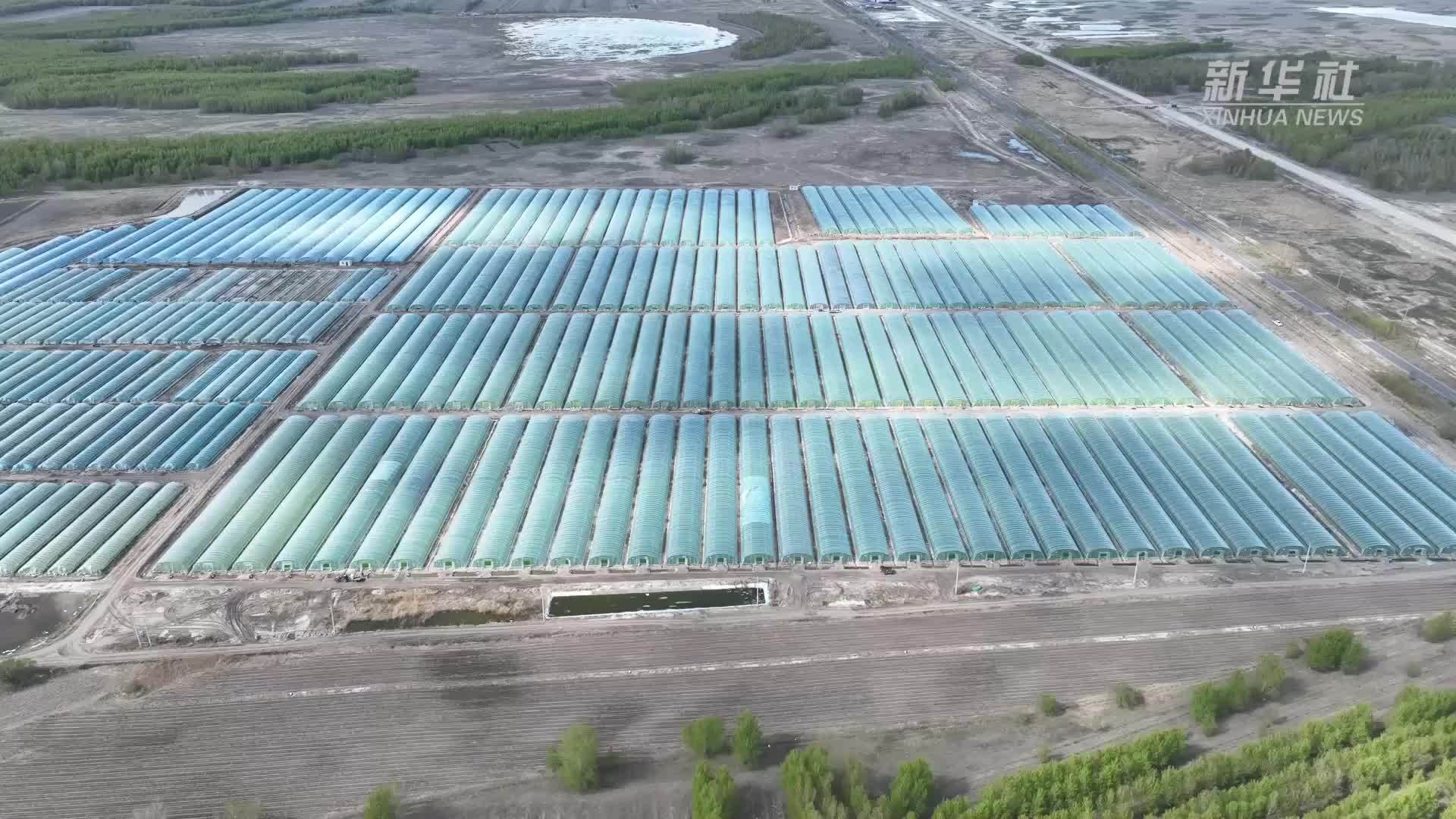 “黑土粮仓”万象“耕”新——吉林春耕正当时