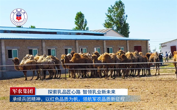图片8.png