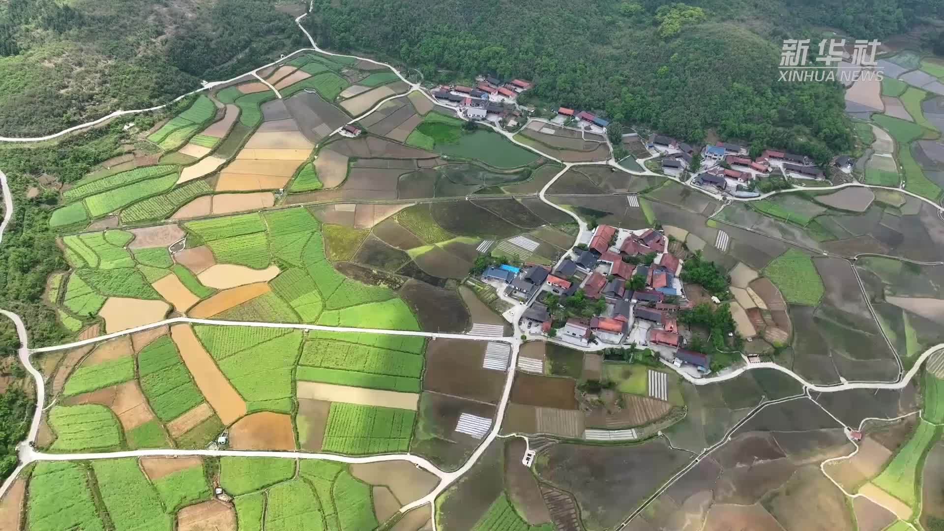 湖南鹤城：田园村舍共绘美景