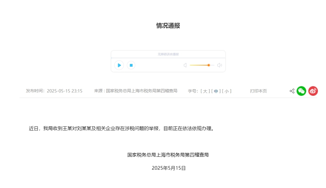 国家税务总局上海市税务局网站截图