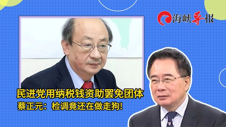 亲绿罢免团体钱从哪来？蔡正元质疑检调不敢查：还在做民进党走狗