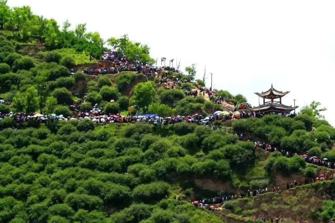 二郎山花儿会盛况　岷县县委宣传部供图